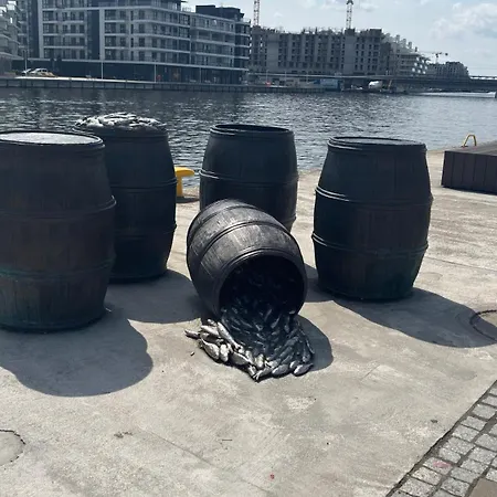 Nad Odra - Z Klimatyzacja, Parking W Cenie, Parking Included Daire Szczecin