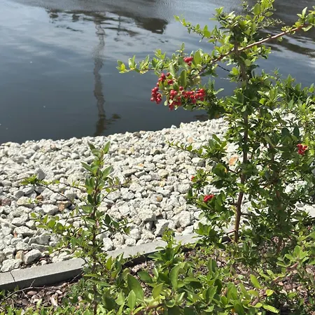 Nad Odra - Z Klimatyzacja, Parking W Cenie, Parking Included * Szczecin