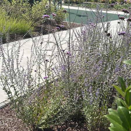 Lägenhet Nad Odra - Z Klimatyzacja, Parking W Cenie, Parking Included