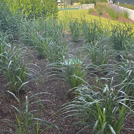 Nad Odra - Z Klimatyzacja, Parking W Cenie, Parking Included * Szczecin